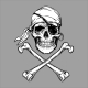 Jolly Roger Pirate Skull Head and Crossed Bones - GraphicRiver Item for Sale