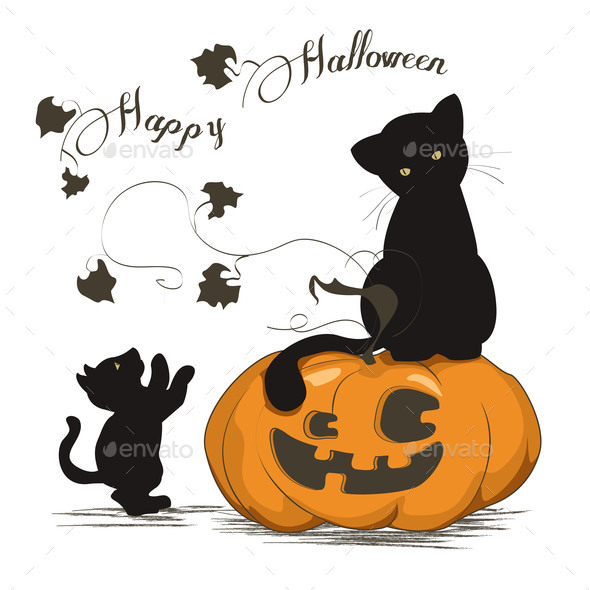Black Cats Play with a Halloween Pumpkin