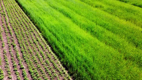 Aerial drone view of a flying over the rural agricultural landscape.