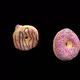 Sweet Buns - VideoHive Item for Sale
