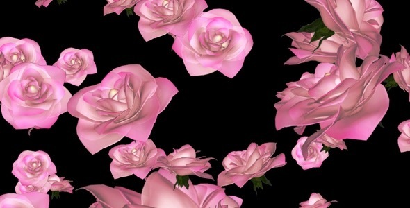 Flying Roses - Pack Of 3 Transitions alt