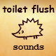 Toilet Flush