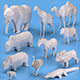 African Animals - 3DOcean Item for Sale