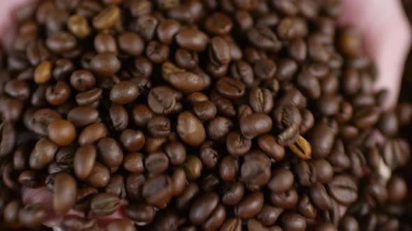 Female Hands Touching Coffee Beans