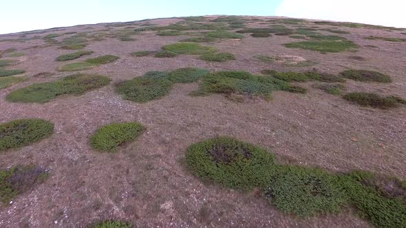 Top of The Treeless Round Curved Dome Shaped Hill