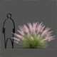 Pink Flamingo Muhly Grass - 3DOcean Item for Sale