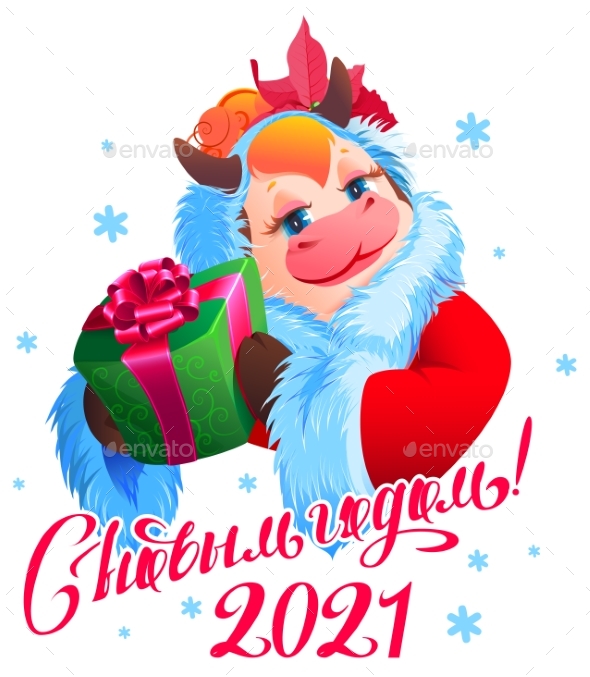 Happy New Year 2021 Russian Translation Text