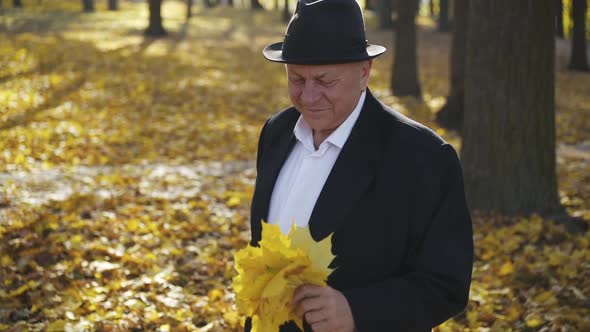 Happy Senior Man Corrects Maple Leaves' Bouquet and Talks with Smile in Park