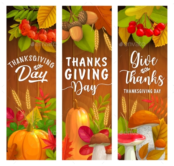 Thanksgiving Day Banners of Autumn Harvest Holiday