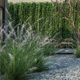 Pink Flamingo Muhly Grass 2 - 3DOcean Item for Sale