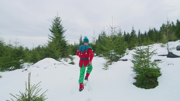 Elf running in the forest