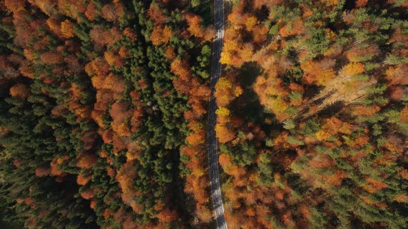 Flying Over The Empty Autumn Road 18