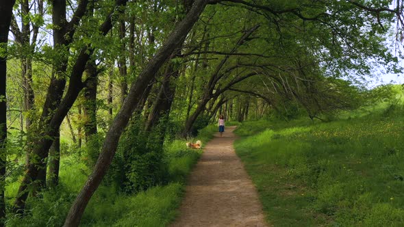 Girl With The Corgi Dog Walking By The Foothpath Under The Trees