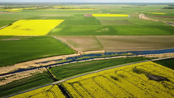 Aerial high altitude flight over blooming rapeseed (Brassica Napus) field, flying over yellow canola