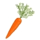 Cartoon Carrot - GraphicRiver Item for Sale