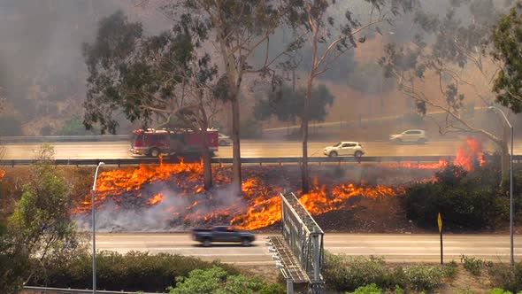 Brush Fire Los Angeles