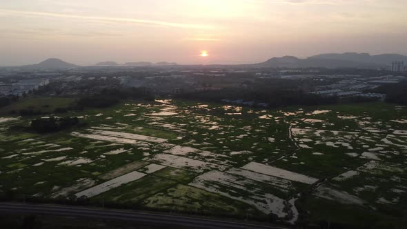 Sunset view of paddy field and railway