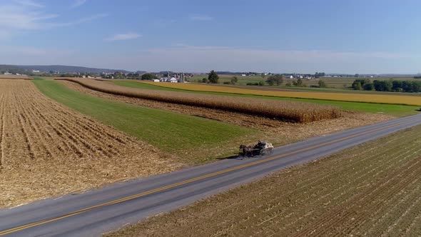 Drone Flight over Agricultural Fields and a Approaching Amish Horse and Buggy