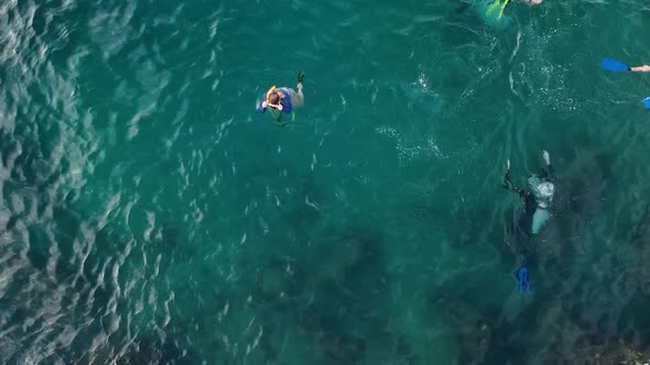 Aerial view of people enjoying a mix of different water activities