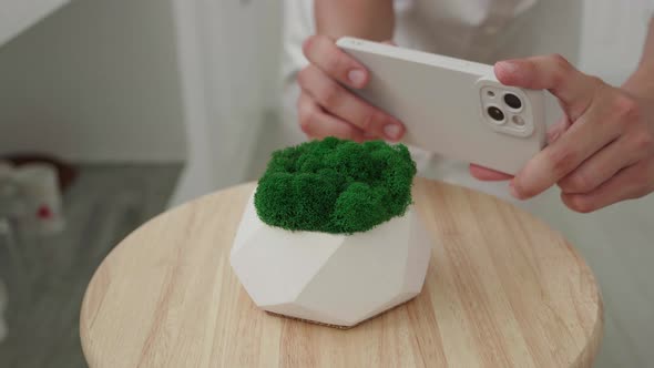 Blogger Take Photo on Smartphone Plaster Pot with Green Moss at Home