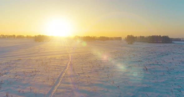 Aerial Drone View of Cold Winter Landscape with Arctic Field Trees Covered with Frost Snow and