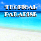 Tropical Paradise