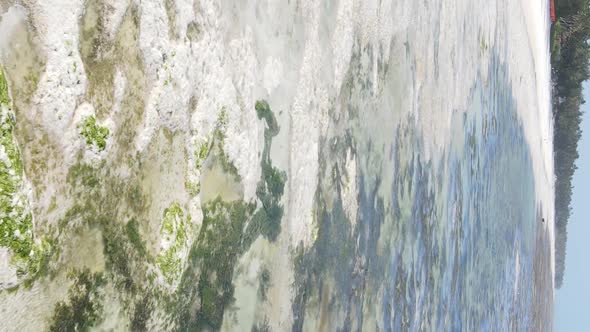 Vertical Video of Low Tide in the Ocean Near the Coast of Zanzibar Tanzania Aerial View