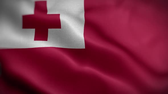 Tonga Flag Textured Waving Front Background HD