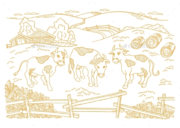 Dairy Farm Livestock of Three Cows