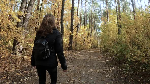 The Girl Walks Through the Autumn Forest