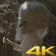Elf In The Forest - VideoHive Item for Sale