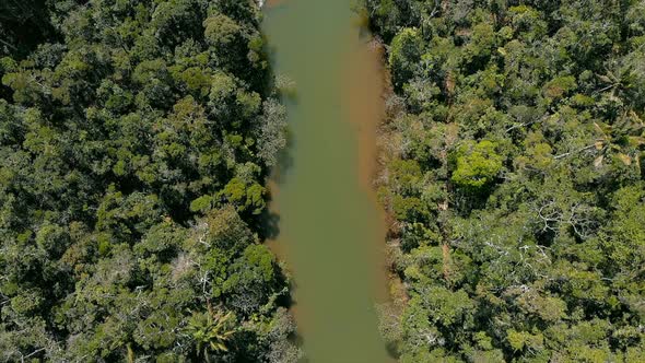 AERIAL: River in the middle of Rainforest in Madagascar