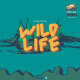 wild life | abstrack font - GraphicRiver Item for Sale