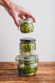 Freshly Pickled Jalapeno Peppers - PhotoDune Item for Sale
