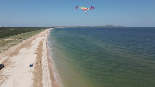 Rainbow a Multicolored Kite Flies Over the Sea in Summer Taken on Drone