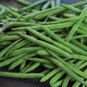 Cleaning green beans - VideoHive Item for Sale