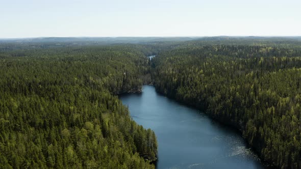 Aerial, drone shot overlooking lake Iso Helvetinjarvi, bright, sunny day, in Helvetinjarven kansalli