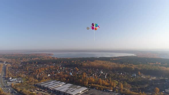 Colorful balloons are flying over the autumn sunny city