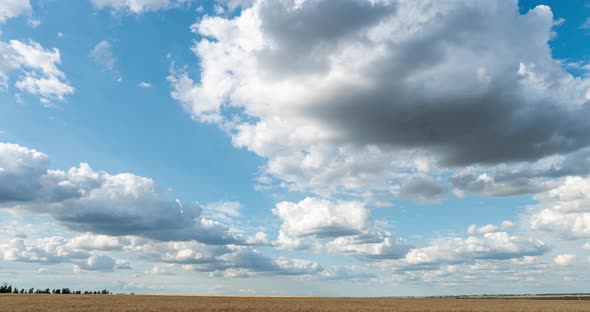 Beautiful Clouds in the Field, Time Lapse, Summer Beautiful Landscape, Video Loop