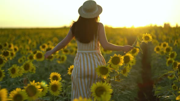 Beauty Girl with Long Hair in Dress Running on Sunflower Field in Sunset Summer.