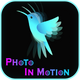 Photo in motion complete android app source code with admob ads integration - CodeCanyon Item for Sale