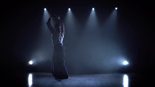 Master Practicing Aikido Technique, Silhouette