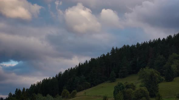 Sheep graze under the forest, dense moving clouds, 4K