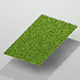 Low Poly Grass w/Camera & Lighting Scene - 3DOcean Item for Sale