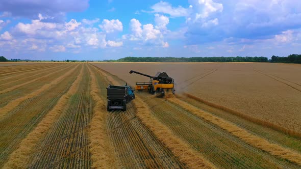 Grain harvesting equipment in the field.