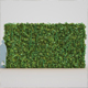 Vertical Garden 12 - 3DOcean Item for Sale