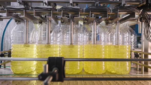 Automatic Line for Filling Bottles with Sunflower Oil