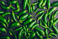 Green Jalapeno Peppers - PhotoDune Item for Sale