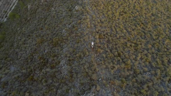 Off Road Motocross Biker in a Shrubby Landscape