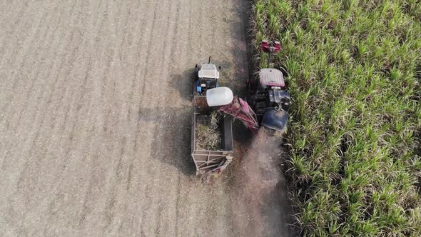 Aerial view of the Sugar cane harvesting